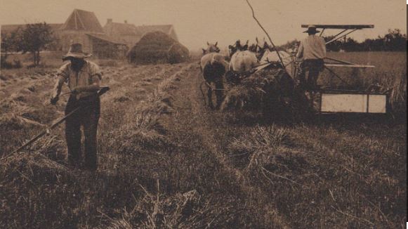 CPA-Moissons à l'ancienne