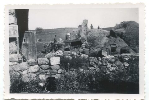 Histoire d'un grain de blé : les moissons au début du 20e siècle ...
