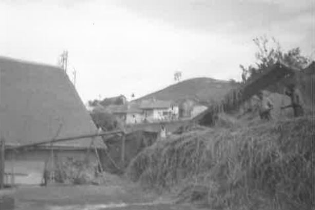 ATC Jarjayes- Scène de moisson- La Tour-Jarjayes-Photo Y. Sarret