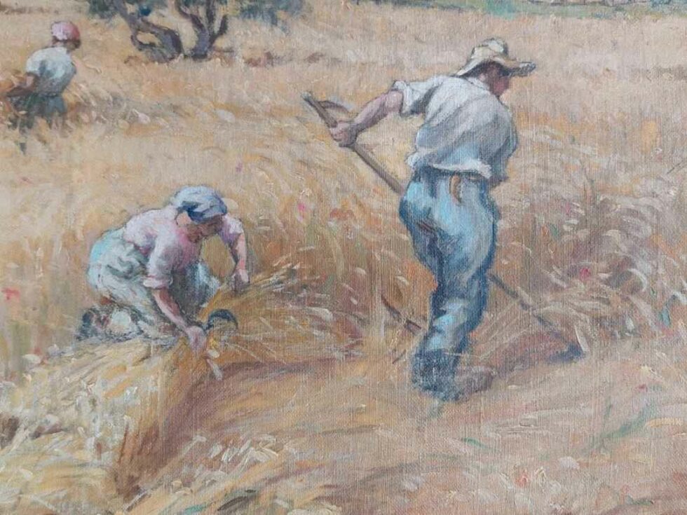 Histoire d'un grain de blé : les moissons au début du 20e siècle ...