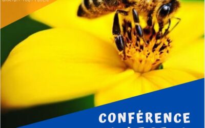 CONFÉRENCE SUR LES ABEILLES: LA VIE DE LA RUCHE ET DE SES HABITANTS