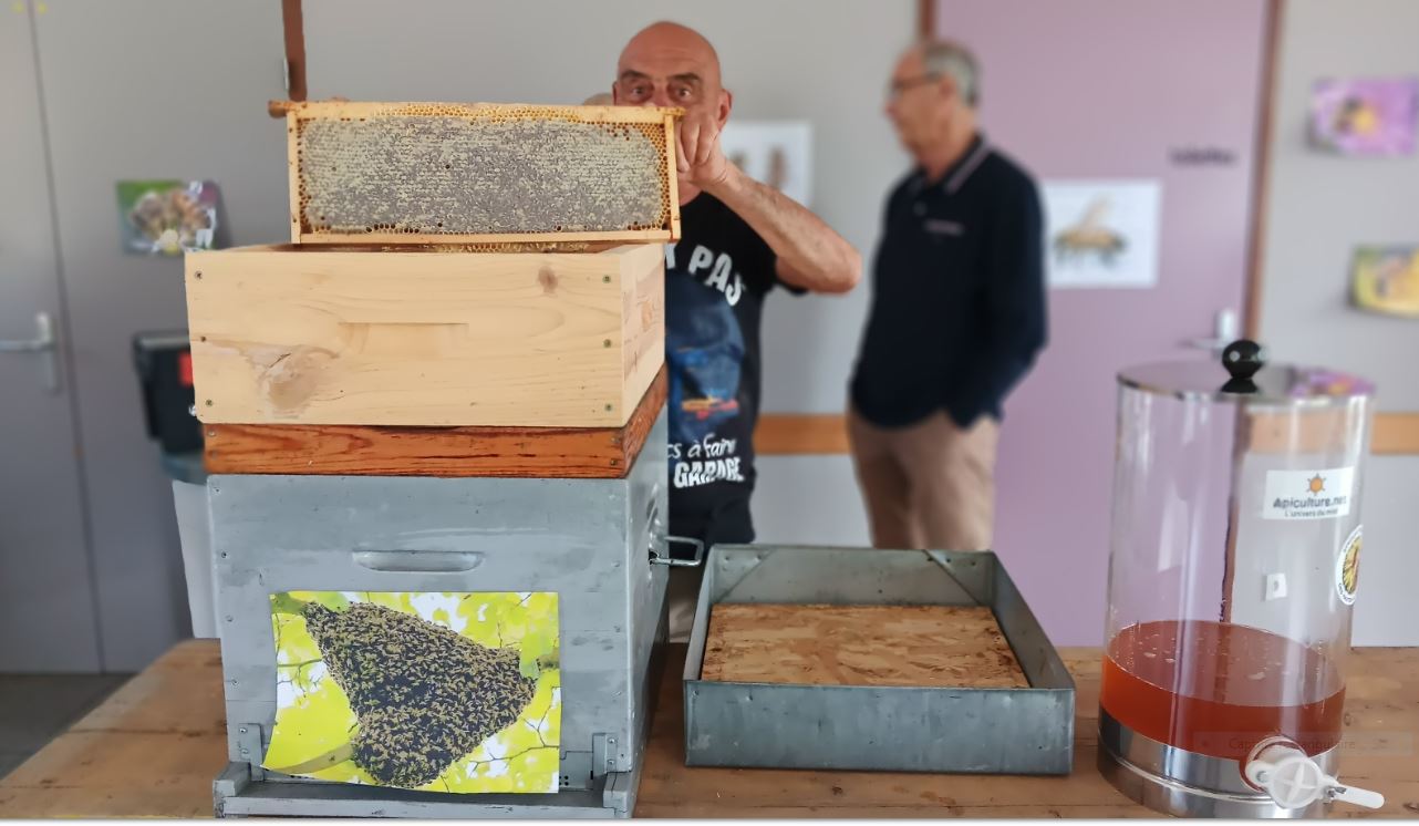 Conférence sur les abeilles Jarjayes 16 05 202- Cadre de ruche Asso Trois-Châteaux Jarjayes- Conférence sur les abeilles 16 05 2025- cadre de ruche