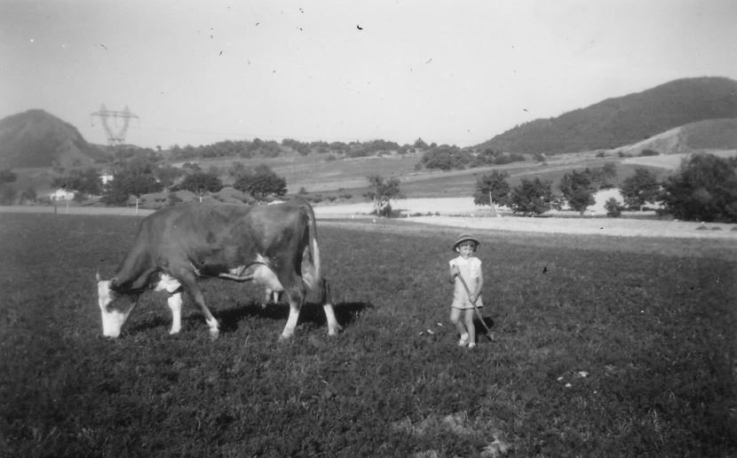 ATC Jarjayes-1958 Jarjayes Lieudit Prenaille - Joelle garde la vache- Photo M. Michel