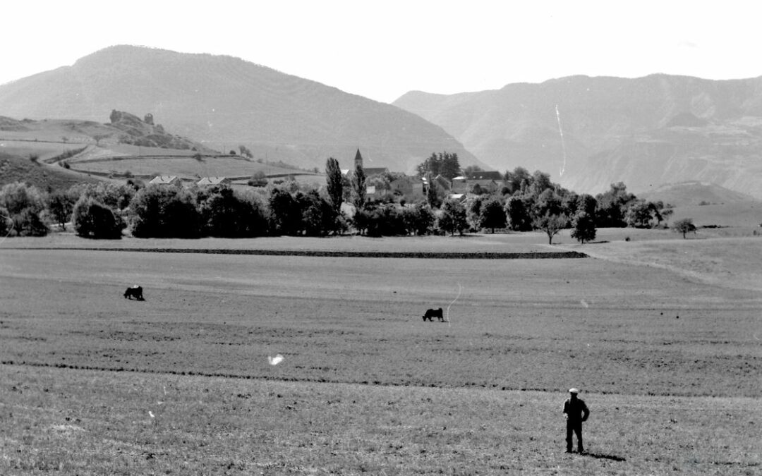L’élevage à Jarjayes (Partie 2 – début 20e s. à nos jours )